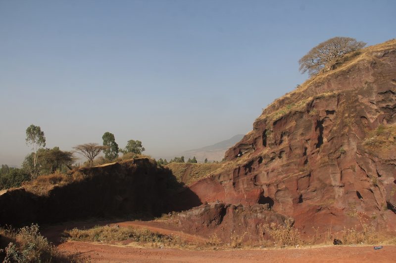 Angola-Schmetterlingsfink, Schmetterlingsfink und Blaukopf-Schmetterlingsfink: drei blaue Vogeljuwelen Afrikas