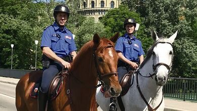 Pferde bei der Polizei