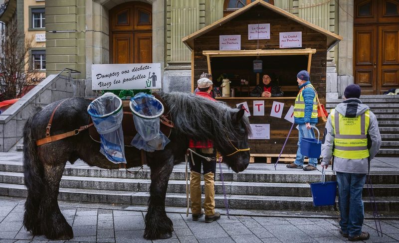 Pferde bei der Abfallentsorgung