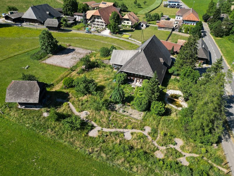 Cristina Grossenbacher: Cristinas wilder Garten