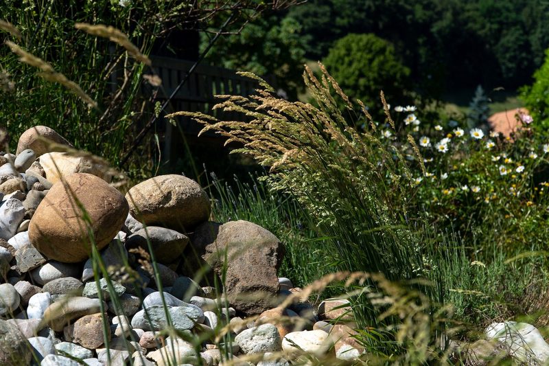 Cristina Grossenbacher: Cristinas wilder Garten