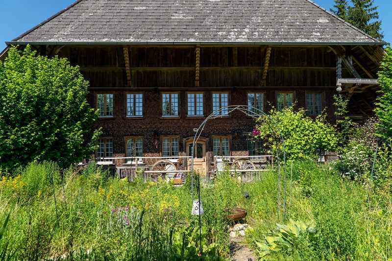 Cristina Grossenbacher: Cristinas wilder Garten