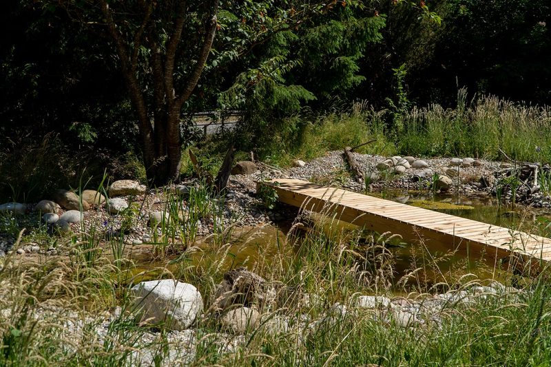 Cristina Grossenbacher: Cristinas wilder Garten