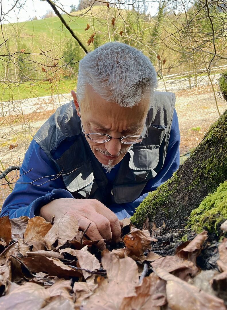 Dicht am Boden sucht Peter Müller nach gefährdeten Schneckenarten.