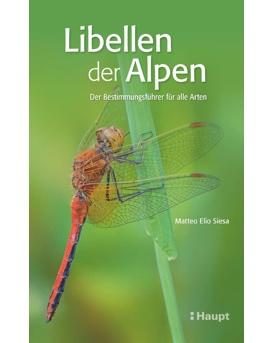 Libellen der Alpen Titelbild