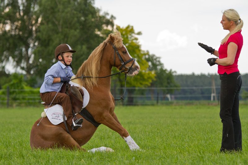 Dressurlektionen mit Pferden einüben - Fredy Knie junior und Showreiterin Rabea Schmale zeigen wie es gelingt