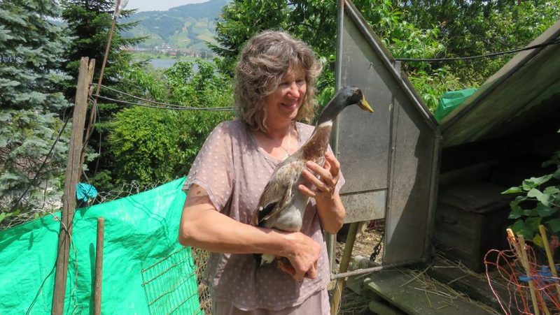 Zu Besuch bei Laufenten-Züchterin Pia Oechslin