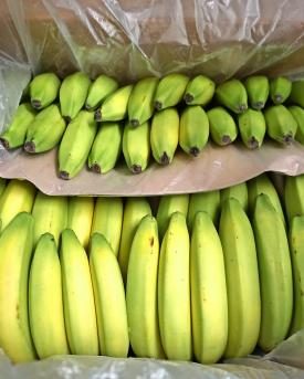 Bananen