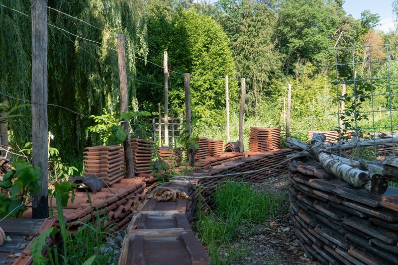 Timo Jeutter: Essbarer Waldgarten
