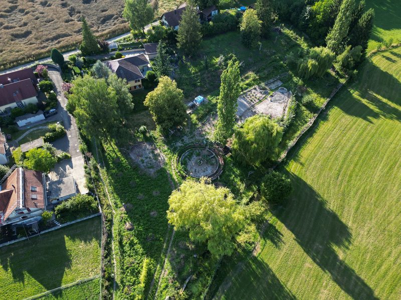 Timo Jeutter: Essbarer Waldgarten