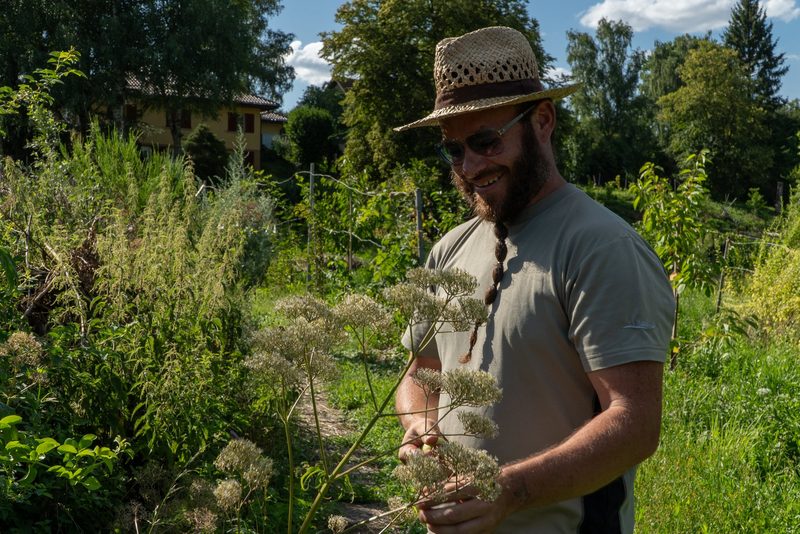 Timo Jeutter: Essbarer Waldgarten