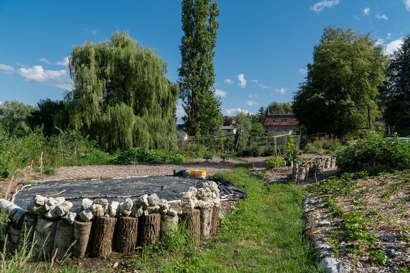 Timo Jeutter: Essbarer Waldgarten