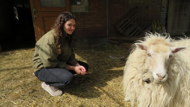 Amélie Lindner mit Schaf