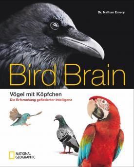 Bird Brain Cover