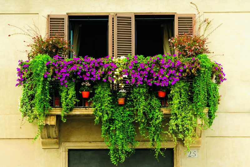 Balkon