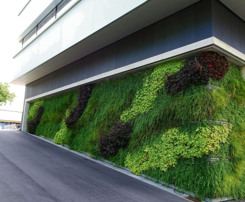 Das Postgebäude beim Bahnhof Bern ist teilweise mit einer grünen Wand überzogen (links). Ebenso wurden grüne Wände in Genf im Jardin de l’Amandolier gestaltet (rechts).