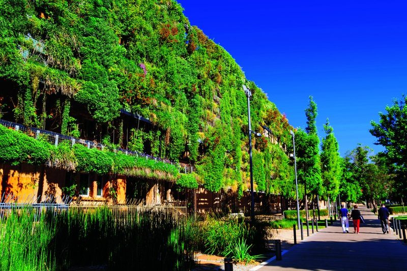 Grüne Wände an der Fassade eines Ökobauwerks bieten Vögeln Nahrungs- und Brutmöglichkeiten sowie Unterschlupf.