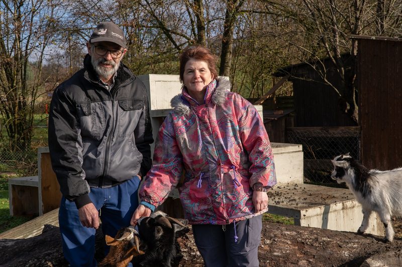 Zwergziegen: Ein Besuch bei den meckernden Wegbegleitern