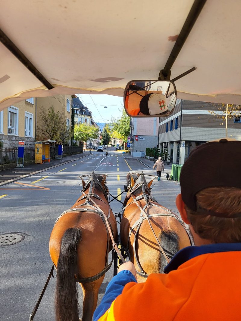 In Luzern holen Pferde die Grünabfuhr