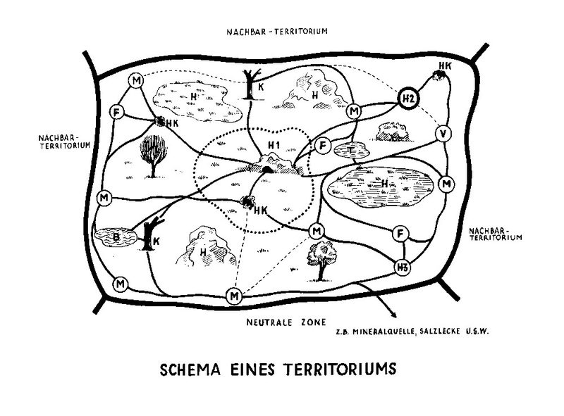 Das Territorium