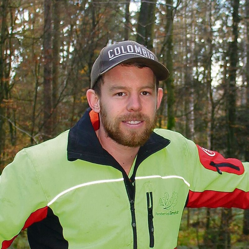 Wie nachhaltig ist die Holznutzung in unseren Wäldern?