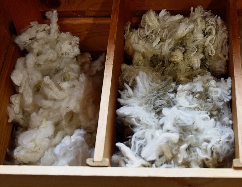 Von den beiden ungewaschenen Flockenwollen stammt jene rechts von Schweizer Merinoschafen.