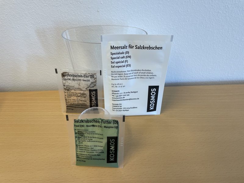 Wie man Urzeitkrebse selber aufzieht