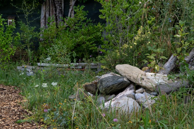 Dino Zehnder: Lebendiger Garten