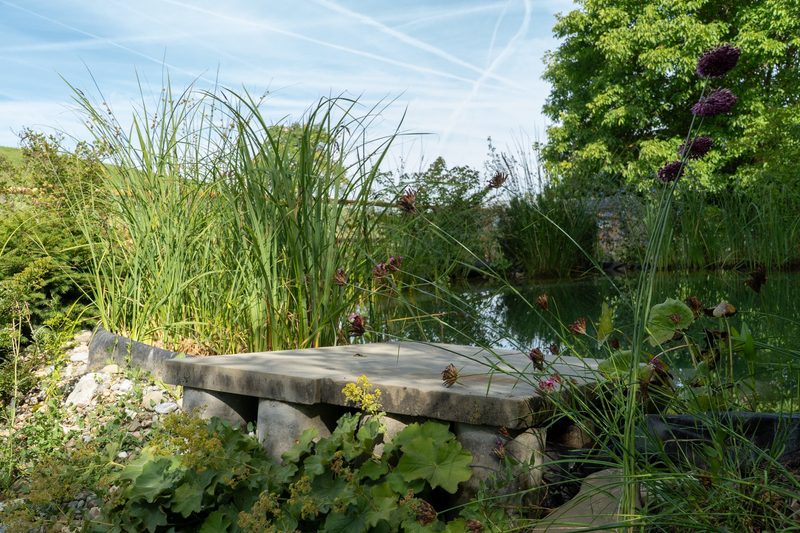 Dino Zehnder: Lebendiger Garten