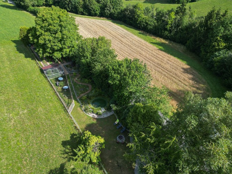 Dino Zehnder: Lebendiger Garten