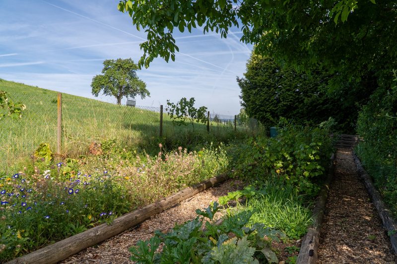 Dino Zehnder: Lebendiger Garten