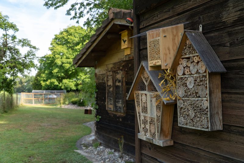 Dino Zehnder: Lebendiger Garten