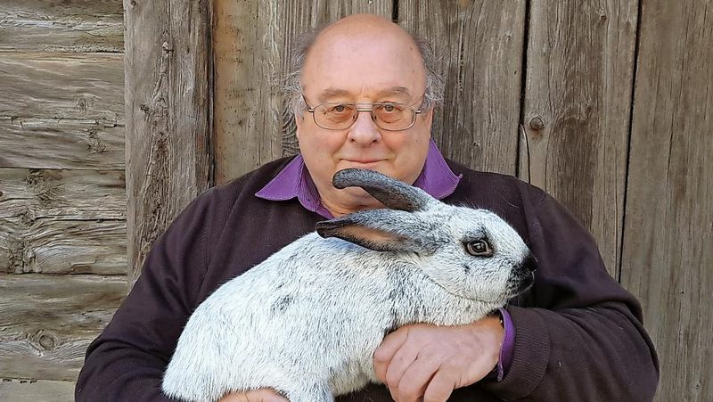 Champagne-Silber-Kaninchen sind die grosse Leidenschaft von Anton Tscherrig.