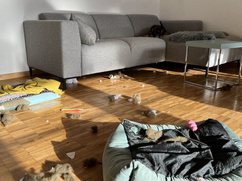 Das erste Mal allein zuhause