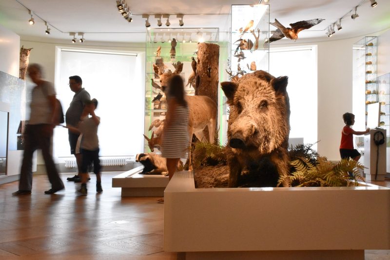 Gratis ins Museum
