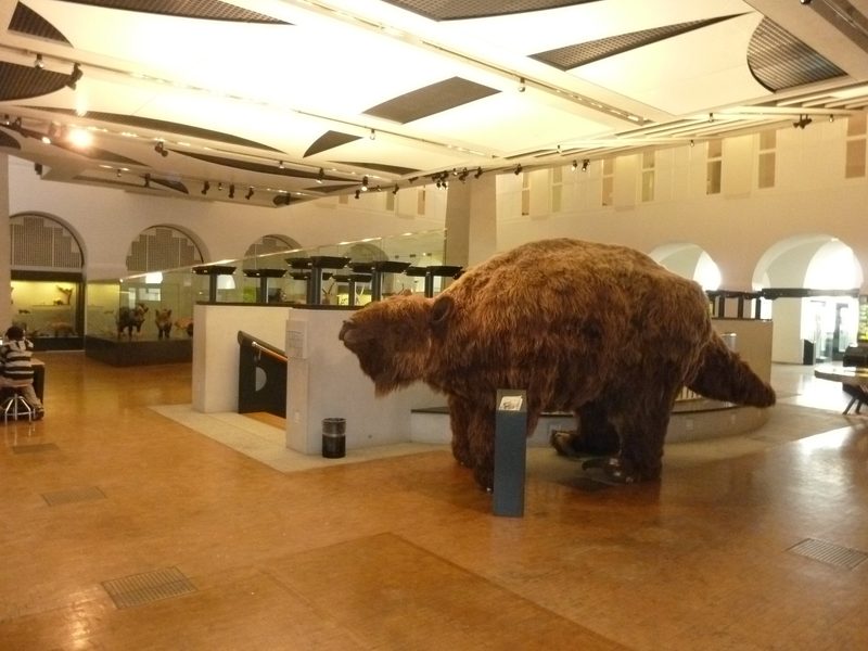 Gratis ins Museum