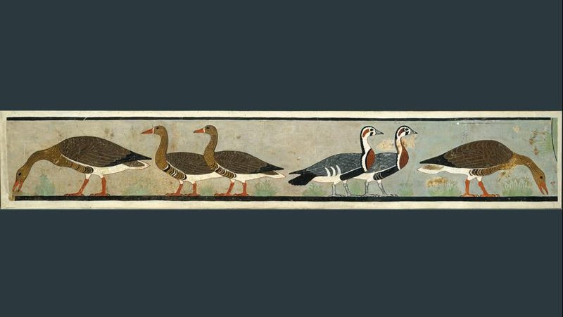 Gänse von Meidum – ganzes Bild