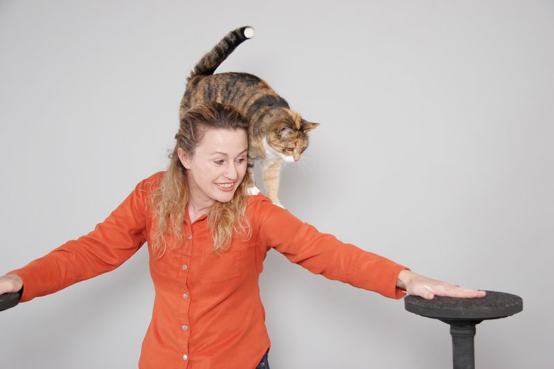 Wie Katzen zu lesen sind