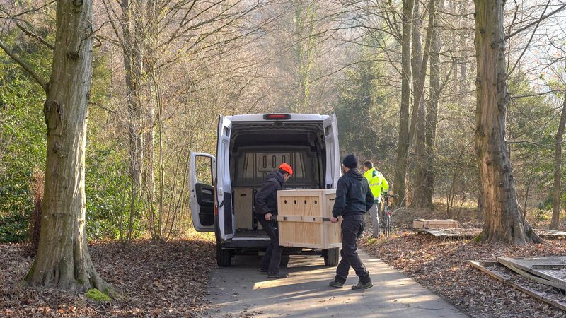 Basler Friedhof-Rehe werden umgesiedelt