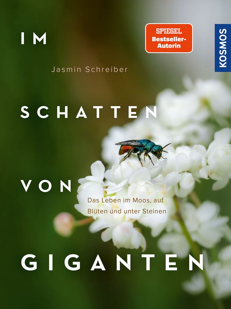 Im Schatten der Giganten – Biologin Jasmin Schreiber über Moose, Flechten und Leben im Totholz