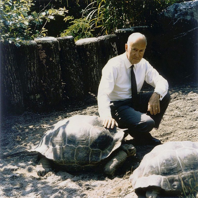 Heini Hediger mit Galapagos-Riesenschildkröte.