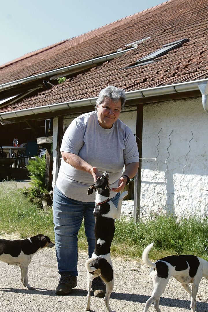 Isabelle Gigon aus Goumois im Kanton Jura am Fluss Doubs und ihre Ratiers du Jura bilden eine enge Gemeinschaft.