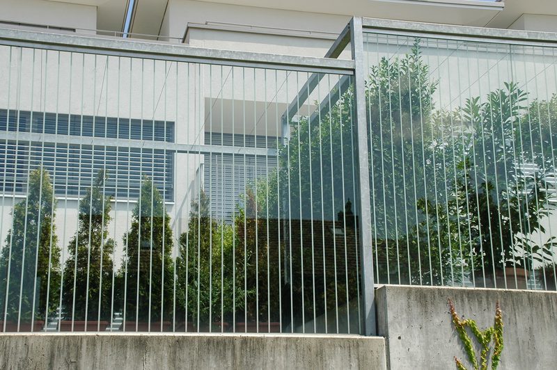 «Fensterscheiben sind eines der grössten Vogelschutzprobleme»