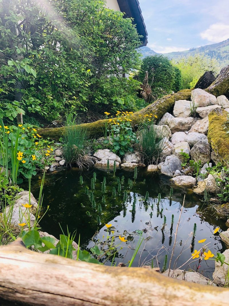 Familie Murer: Naturgarten