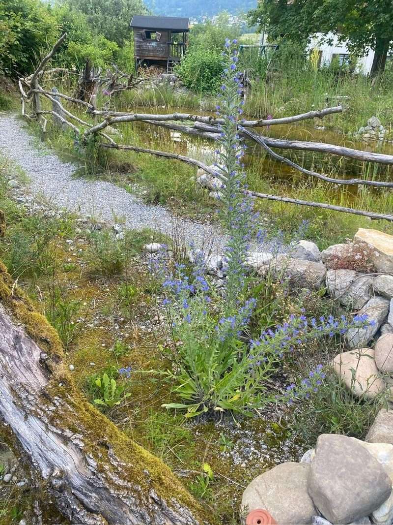 Familie Murer: Naturgarten
