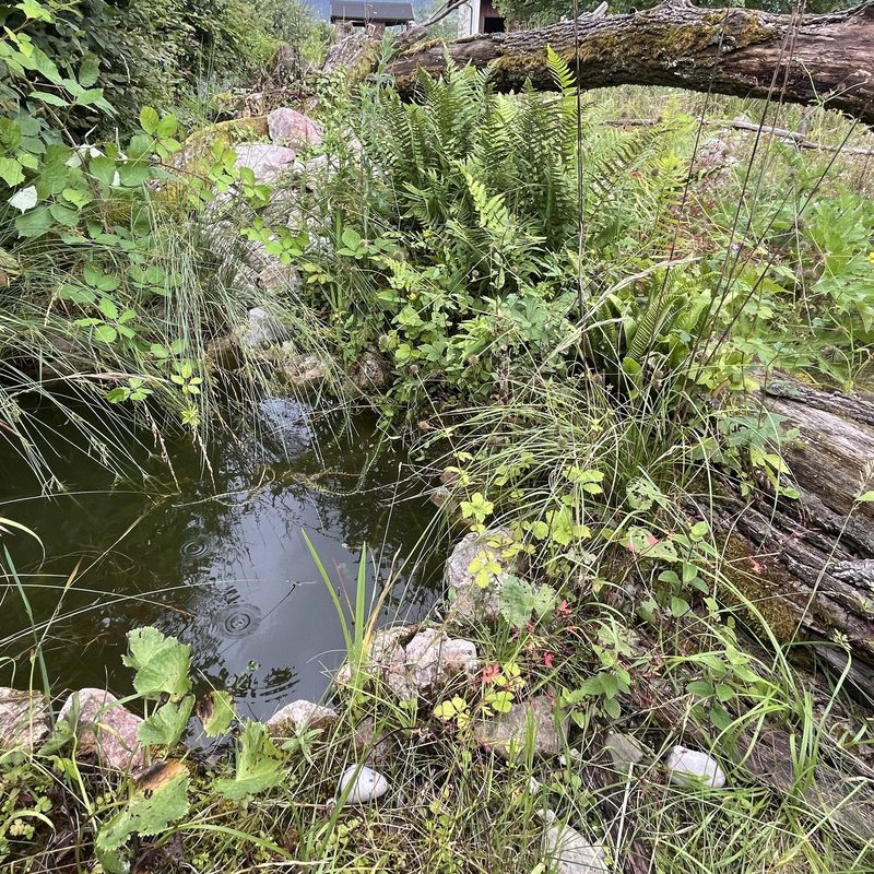 Familie Murer: Naturgarten