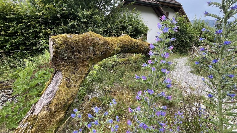 Familie Murer: Naturgarten