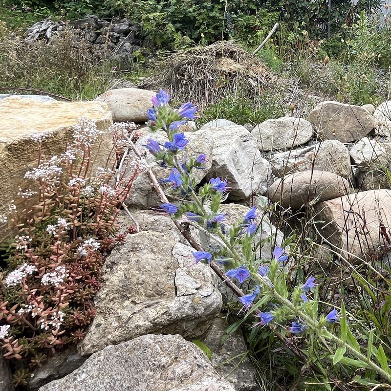 Familie Murer: Naturgarten