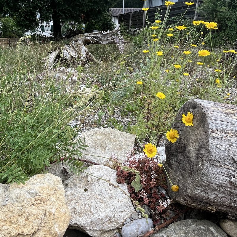 Familie Murer: Naturgarten