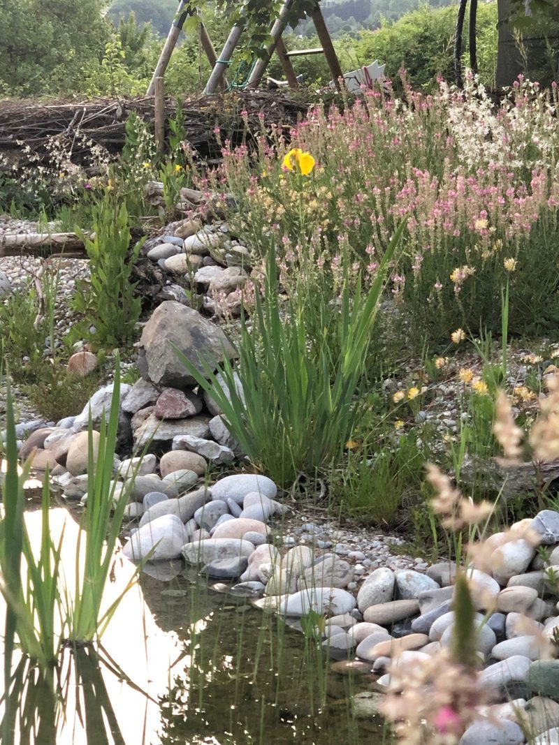Familie Murer: Naturgarten